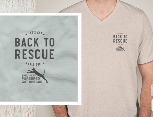 Back to Rescue