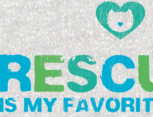 Fall T-Shirt Fundraiser