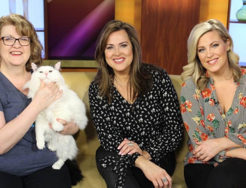 The Morning Blend
